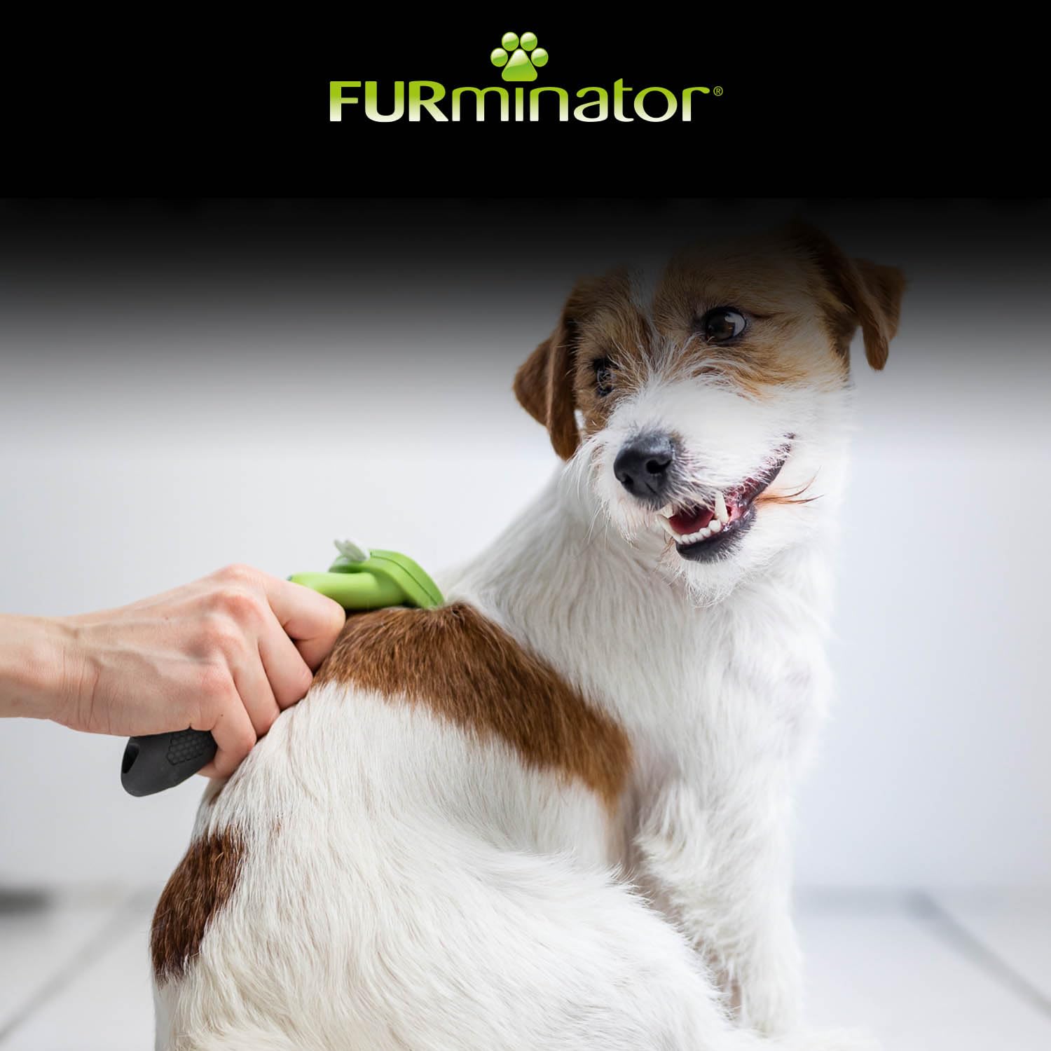 FURminator Hundebürsten – effektive Fellpflege für jeden Hund